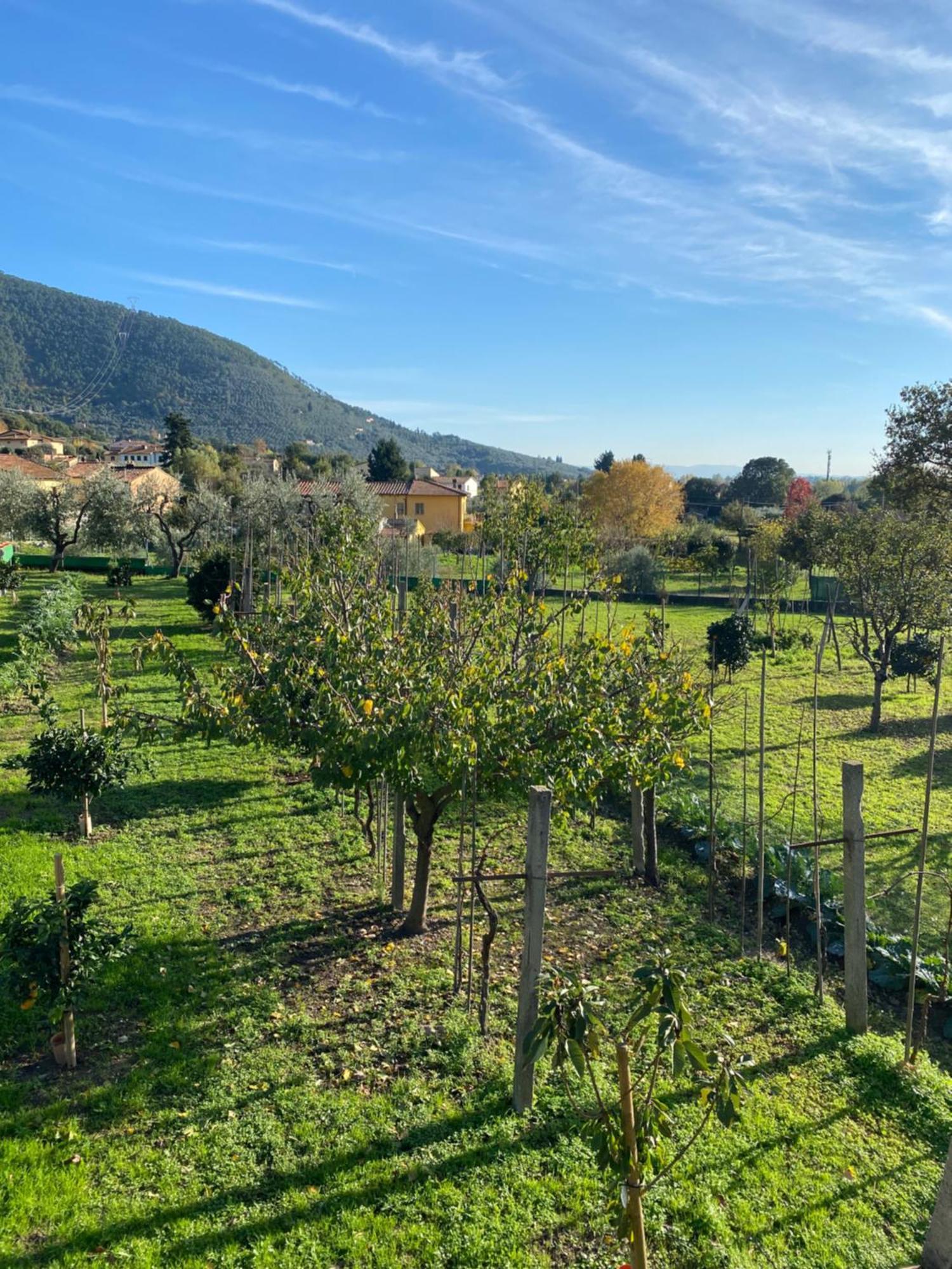 Appartement La Tenuta Di Eva