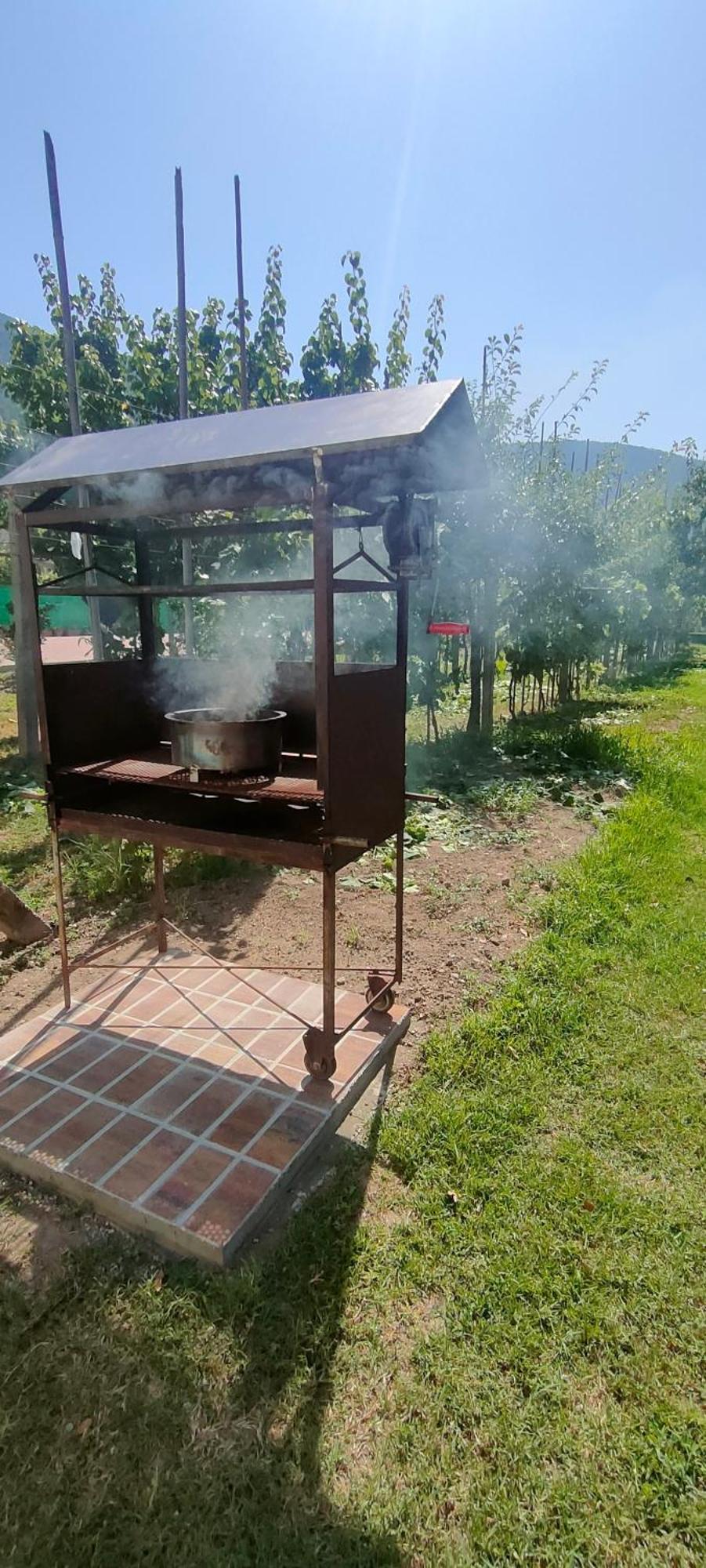 La Tenuta Di Eva Appartement Pisa