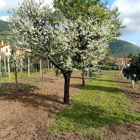 La Tenuta Di Eva Pisa Exterior photo